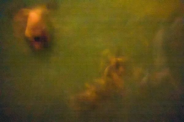 Nightswimming