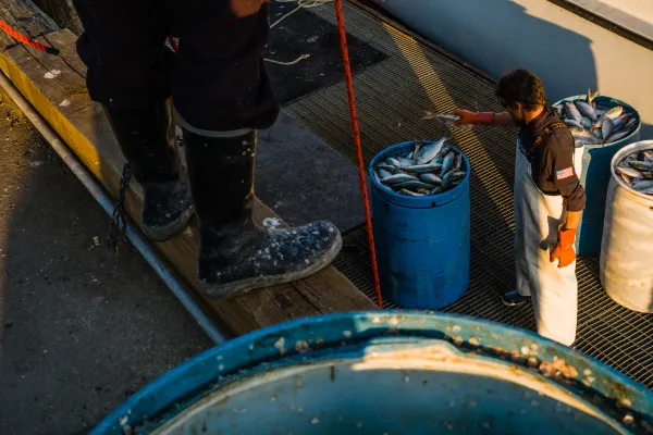 Municipal Fish Pier